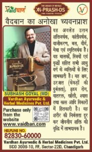 Vaidban Ayurveda newspaper advertisement